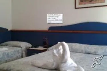 Trifoglio 3* 利多迪迪耶索洛